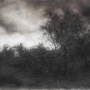 Sue Bryan, "Night Seeing", Charcoal and graphite on board, 30 x 40 x 1cm, Unframed