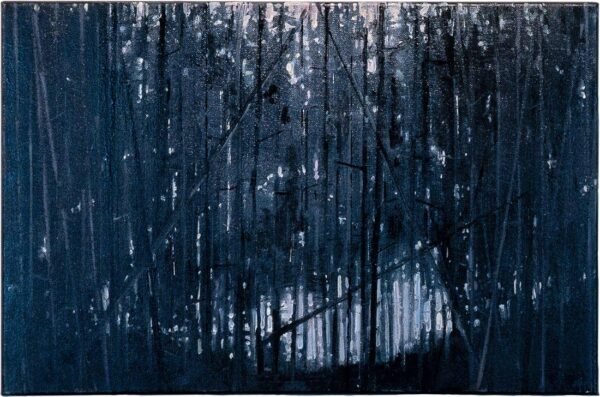 Kaye Maahs, "Where the Light Gets In", Oil on canvas, 40 x 60 x 2cm, unframed